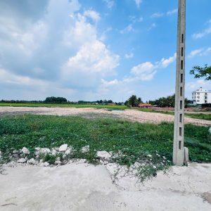 Đất Vườn Gò Dầu 1000m² – Đón Đầu Cao Tốc Mộc Bài